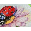Kreuzstich-Sets mit Reifen inklusive Sunny Bedryk 17x17 cm AAHM-078