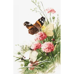 Schmetterlinge auf dem Feld SLETI938