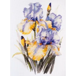 Kreuzstich-Set Iris (Blumen) 21x30 cm AAH-142