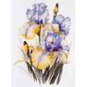 Kit de point de croix Iris (Fleurs) 21x30 cm AAH-142