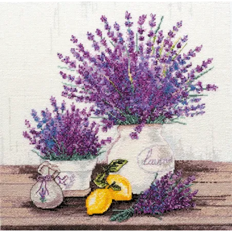 Набор для вышивания крестиком Provance's aroma 32x32 cm AAH-064