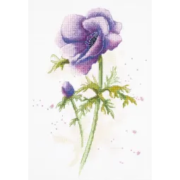 Kryželio siuvinėjimo rinkinys PANNA "Anemone" 20 x 29 cm PC-1966
