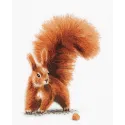 Cross stitch kit PANNA "Squirrel with a nut" PJK-2176