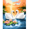 Paint by Numbers kit "Swan Serenade" 40x50 cm W094 0425