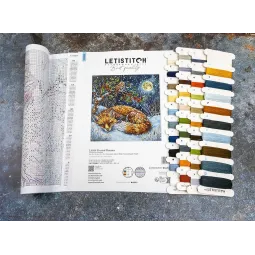 Набор для вышивания крестом "Frosted Dreams" 26x26cm SLETIL9938