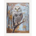 Kit de point de croix "Chouette dans les bois" 30x40 cm SRA1016