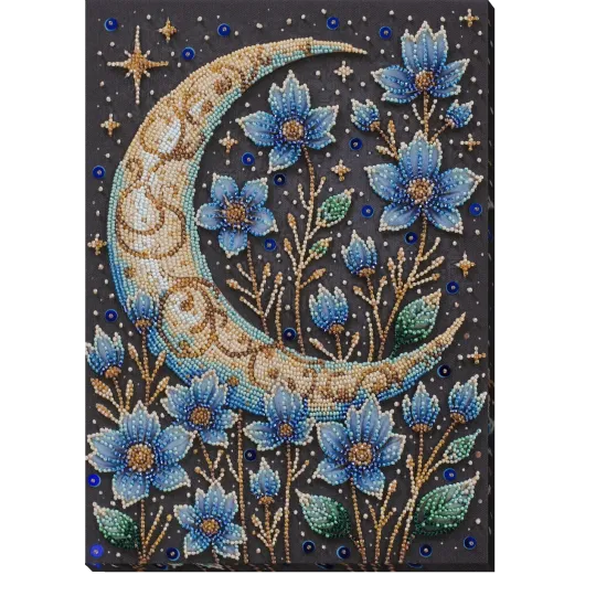 Kit de broderie de perles principal "Une nuit magique" 22x31 cm AAB-941