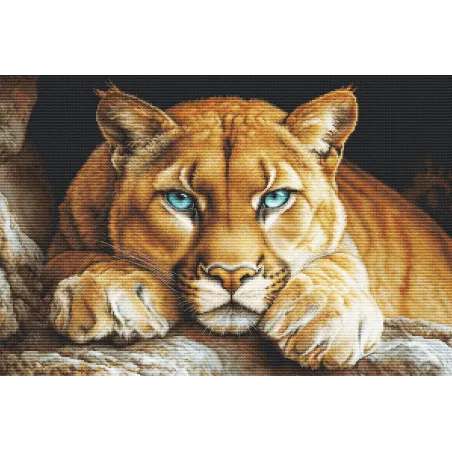 Набор для вышивания крестиком "Дикий дух" 48x32cm SBU5081