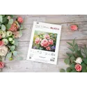 Kit de point de croix "Le Jardin des Roses" 27,5x22cm SG717