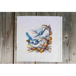 Kryželiu siuvinėjimo rinkinys „Plunksnuoti aristokratai“ 20x18 cm SNV-924