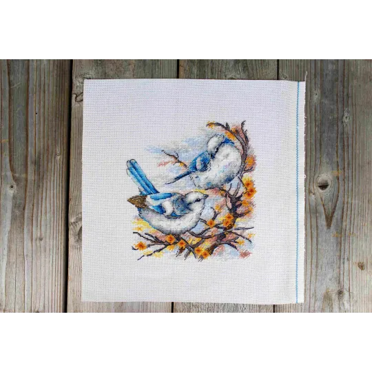 Kreuzstich-Set „Gefiederte Aristokraten“ 20x18 cm SNV-924