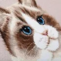 Набор для вышивания крестом PANNA "Ragdoll" 19.5x24.5 cm PJ-7411