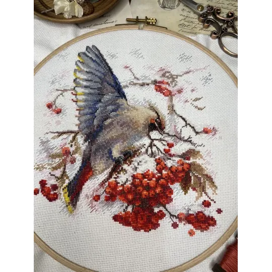 Cross stitch kit "Waxwing" 19x19.5 cm SANS-72