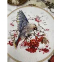 Kreuzstich-Set "Waxwing" 19x19,5 cm SANS-72