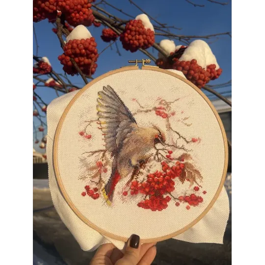 Cross stitch kit "Waxwing" 19x19.5 cm SANS-72