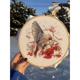 Cross stitch kit "Waxwing" 19x19.5 cm SANS-72