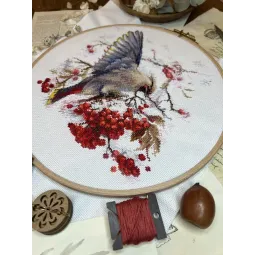 Cross stitch kit "Waxwing" 19x19.5 cm SANS-72