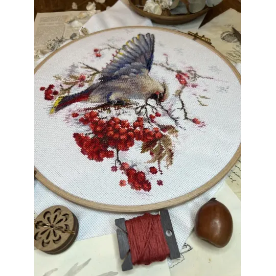 Cross stitch kit "Waxwing" 19x19.5 cm SANS-72