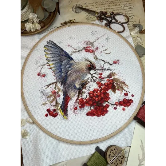 Cross stitch kit "Waxwing" 19x19.5 cm SANS-72