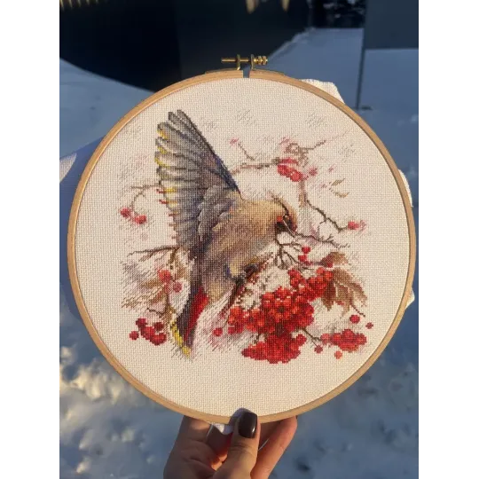 Cross stitch kit "Waxwing" 19x19.5 cm SANS-72