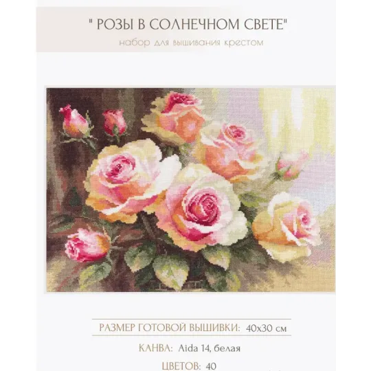 Kryželio siuvinėjimo rinkinys "Rožės saulės šviesoje" S2-54