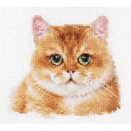 Kryželiu siuvinėjimo rinkinys "Teddy Cat" S1-36