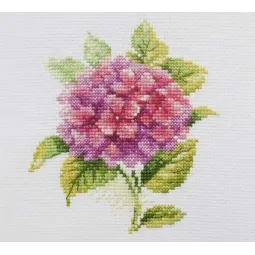 Гортензия S0-137