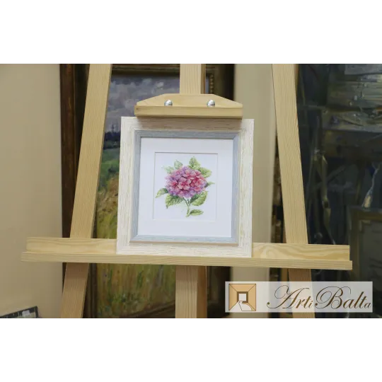 Hydrangea S0-137