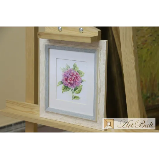 Hydrangea S0-137