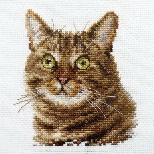 Yeux de chat S0-135