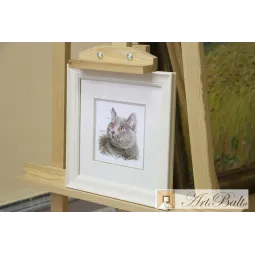 Chat britannique S0-134