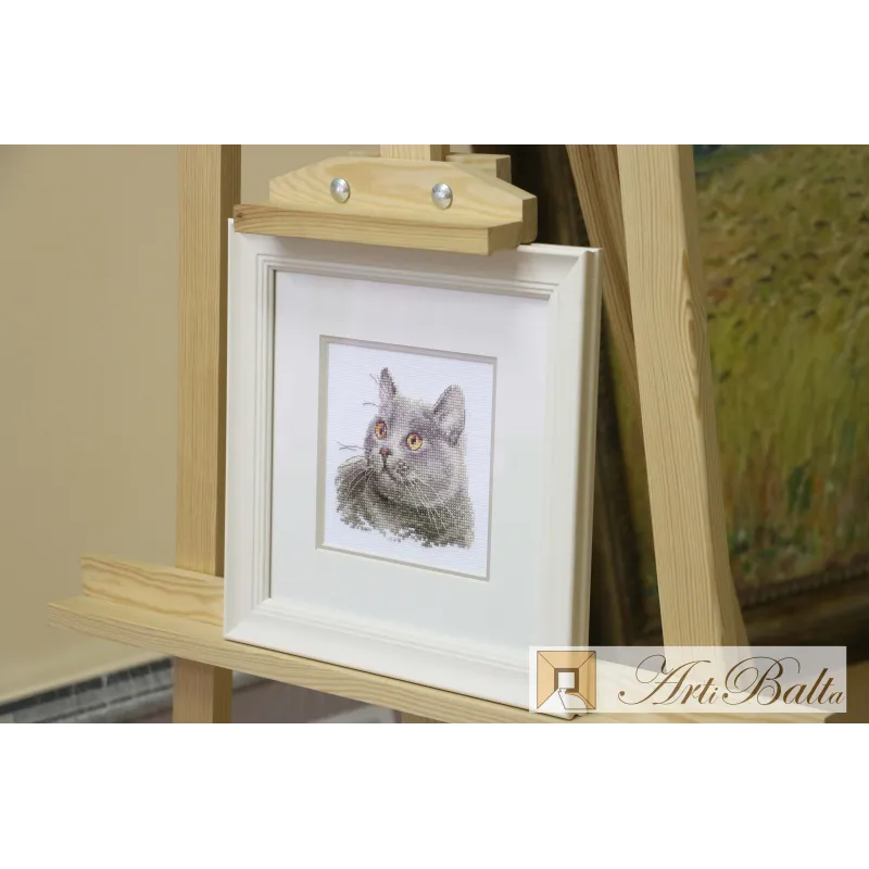 Britische Katze S0-134