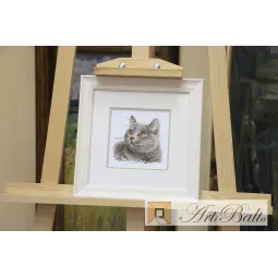 Britische Katze S0-134