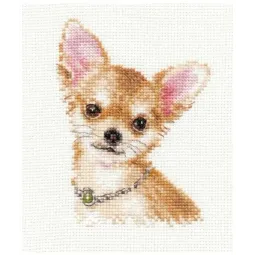 Chihuahua S1-30