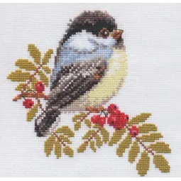 Mésange S1-12