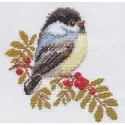 Mésange S1-12