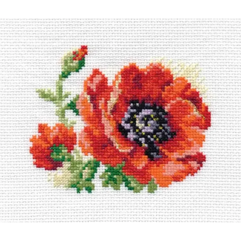Coquelicot S0-80