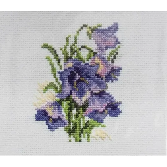 Blaue Glockenblumen S0-79