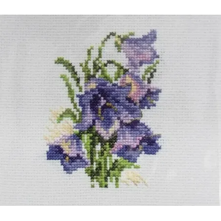 Blaue Glockenblumen S0-79