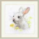 Lapin blanc S0-226