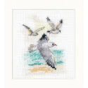 Wind vom Meer. Möwen S0-221