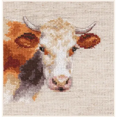 Cow S0-213