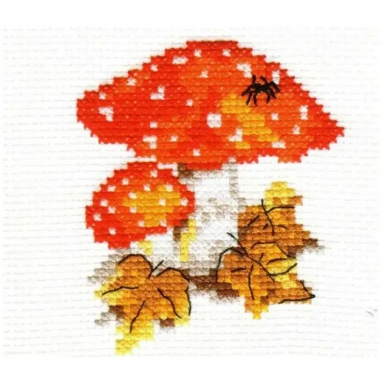 Champignons S0-48