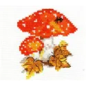 Champignons S0-48