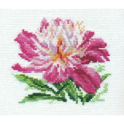 Pivoine Rose S0-119