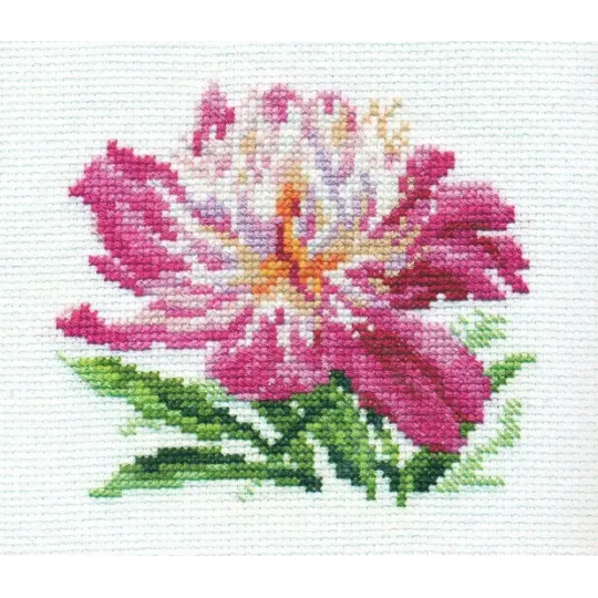 Pivoine Rose S0-119