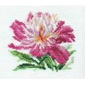 Pivoine Rose S0-119