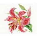 Lily S0-118