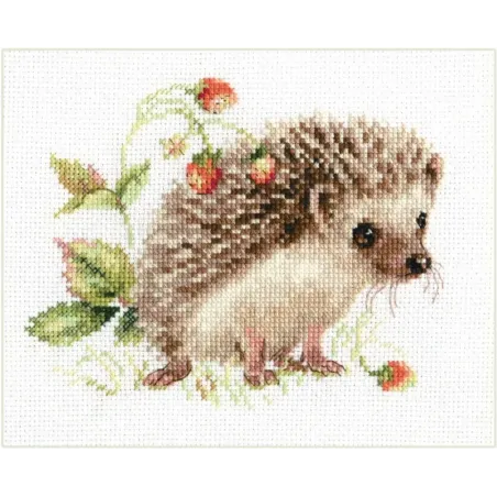 Hedgehog and strawberry S0-227