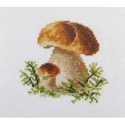 White Mushrooms S0-144